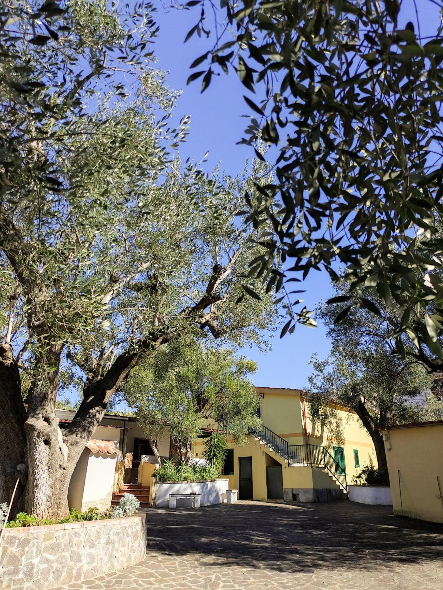 Case Vacanza Da Domingo Marina di Camerota Bagian luar foto